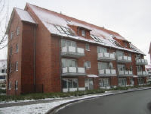 arnikaweg.jpg